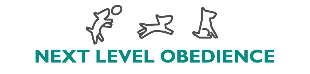Next Level Obedience