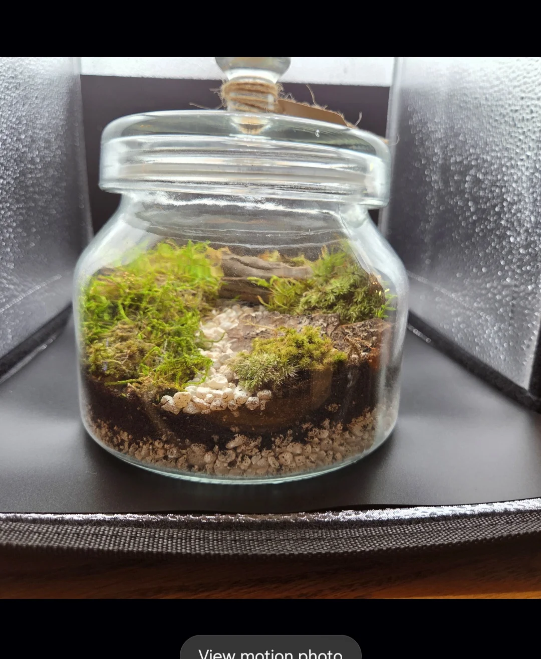 Glass Garden Crafts - Image 3