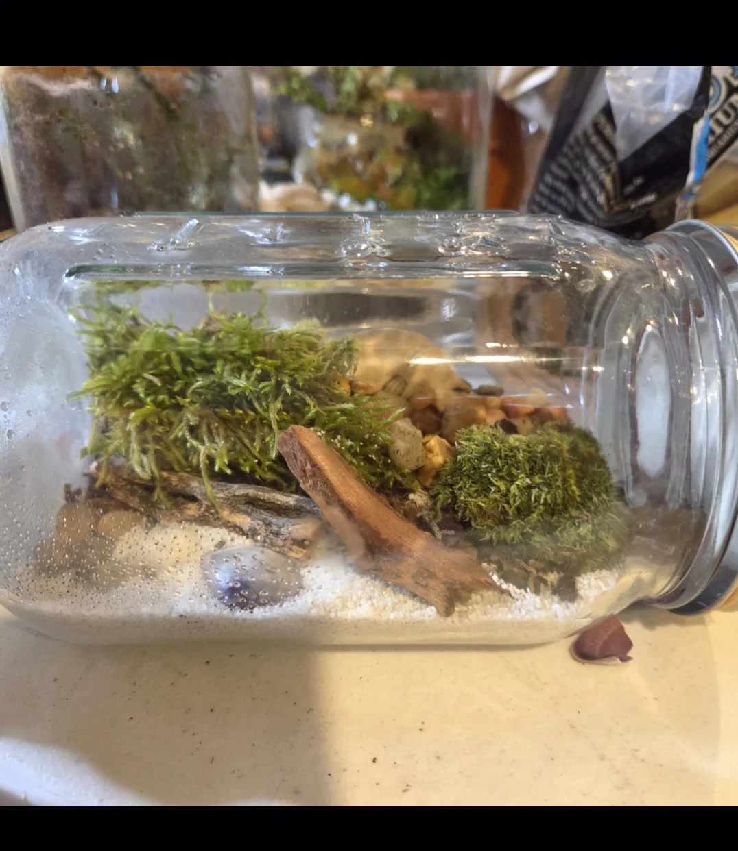 Glass Garden Crafts - Image 1