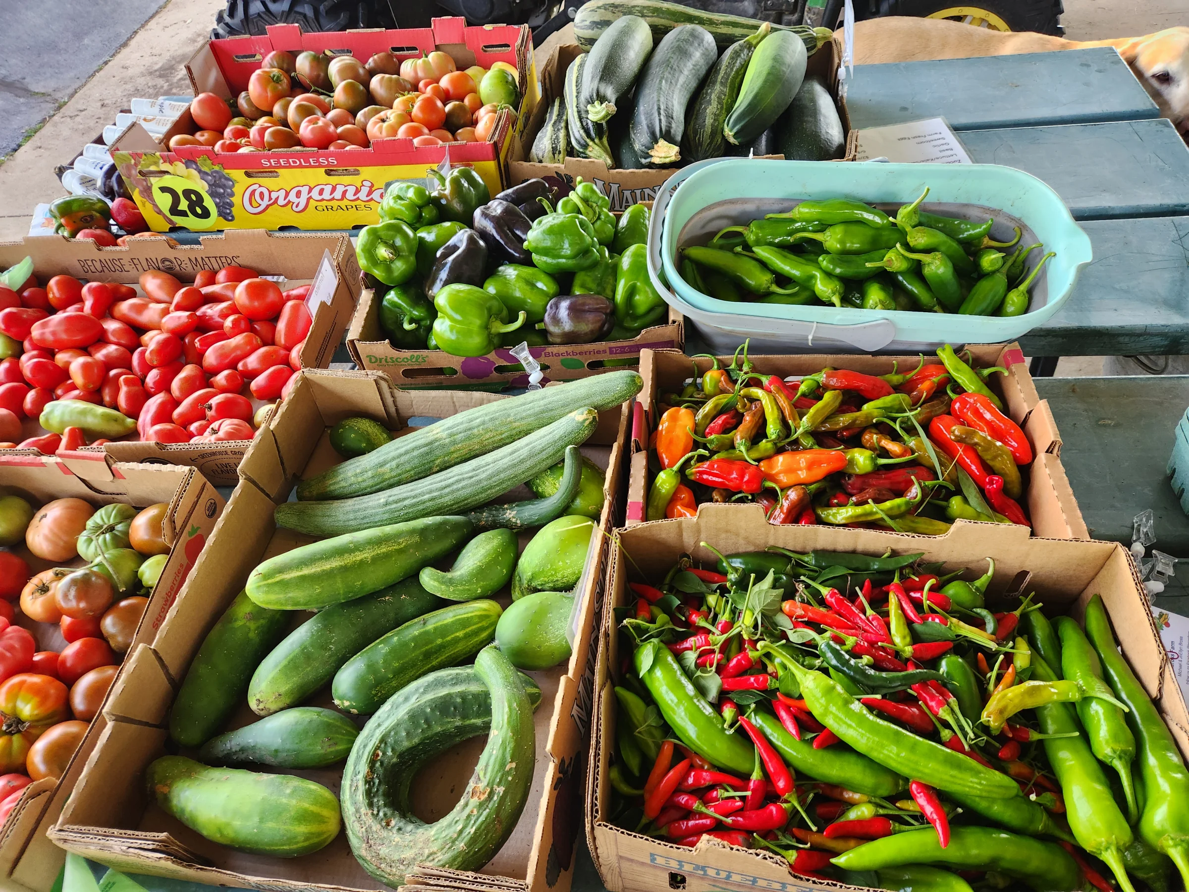 Bross Farm - Image 2