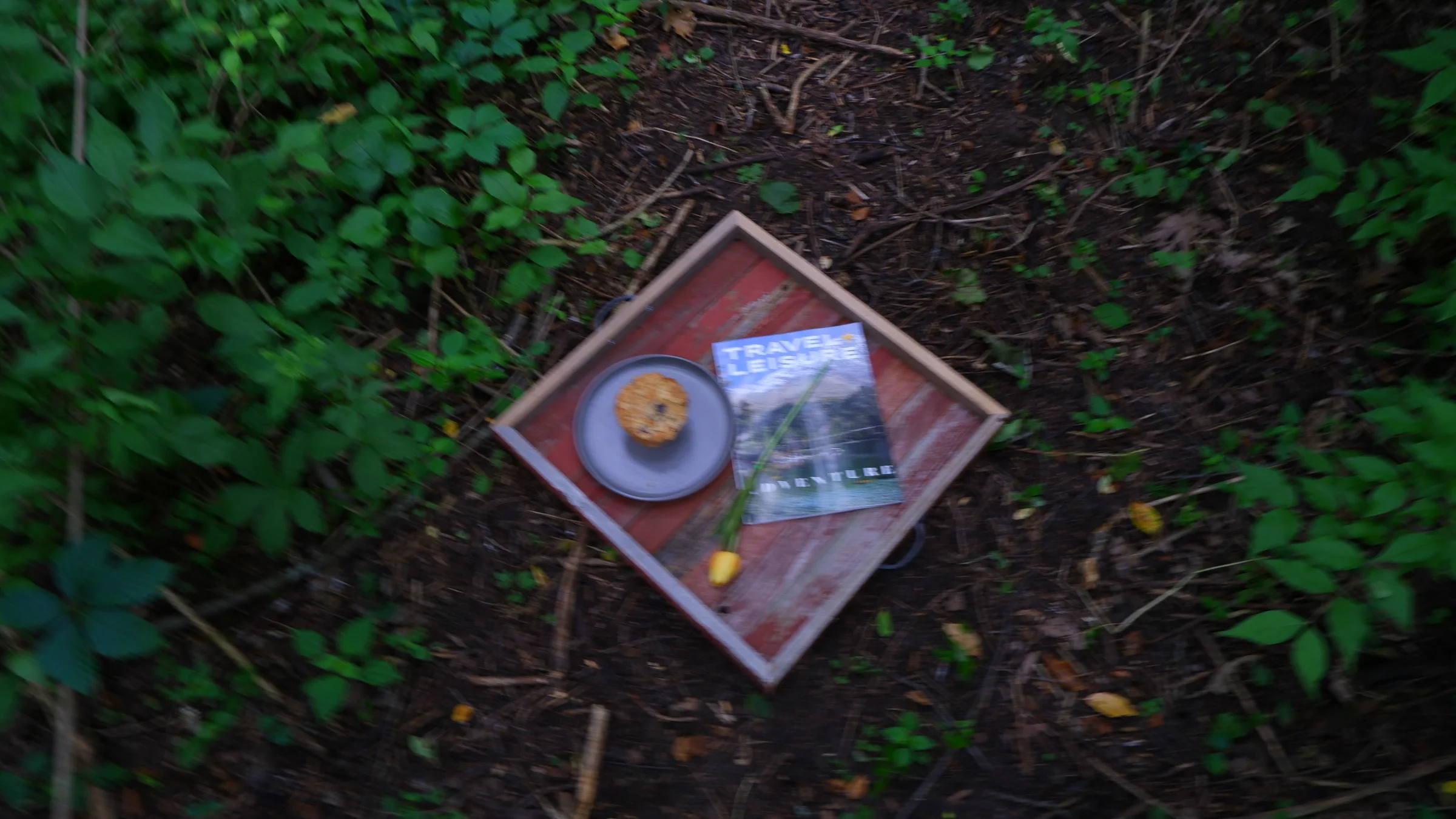 Foraged - Image 2