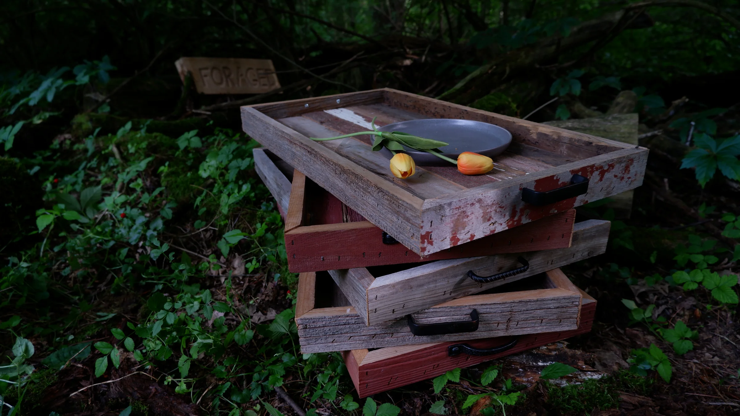 Foraged - Image 1