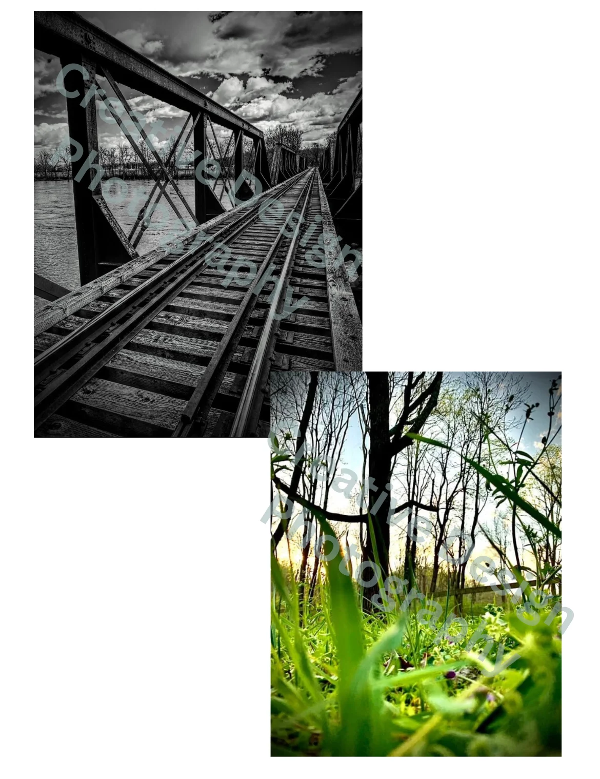 Creative Design Photography - Image 1