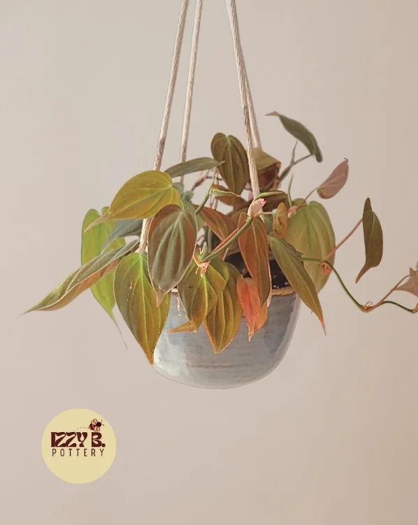 Izzy B Pottery - Image 7