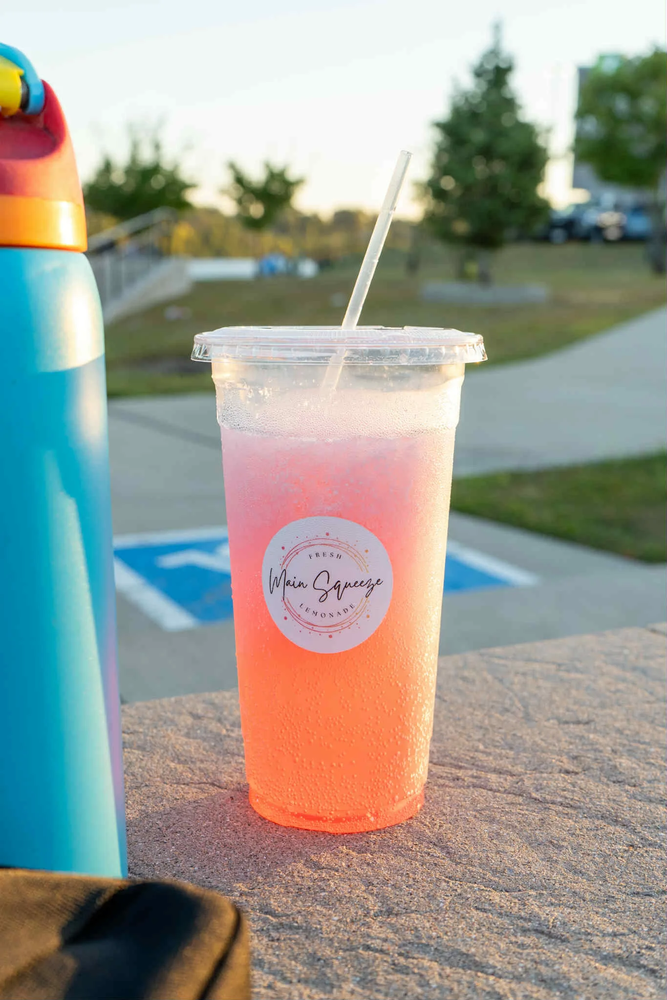 Main Squeeze - Image 3