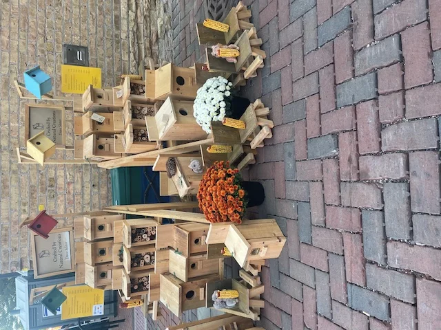Natural Creations - Image 2