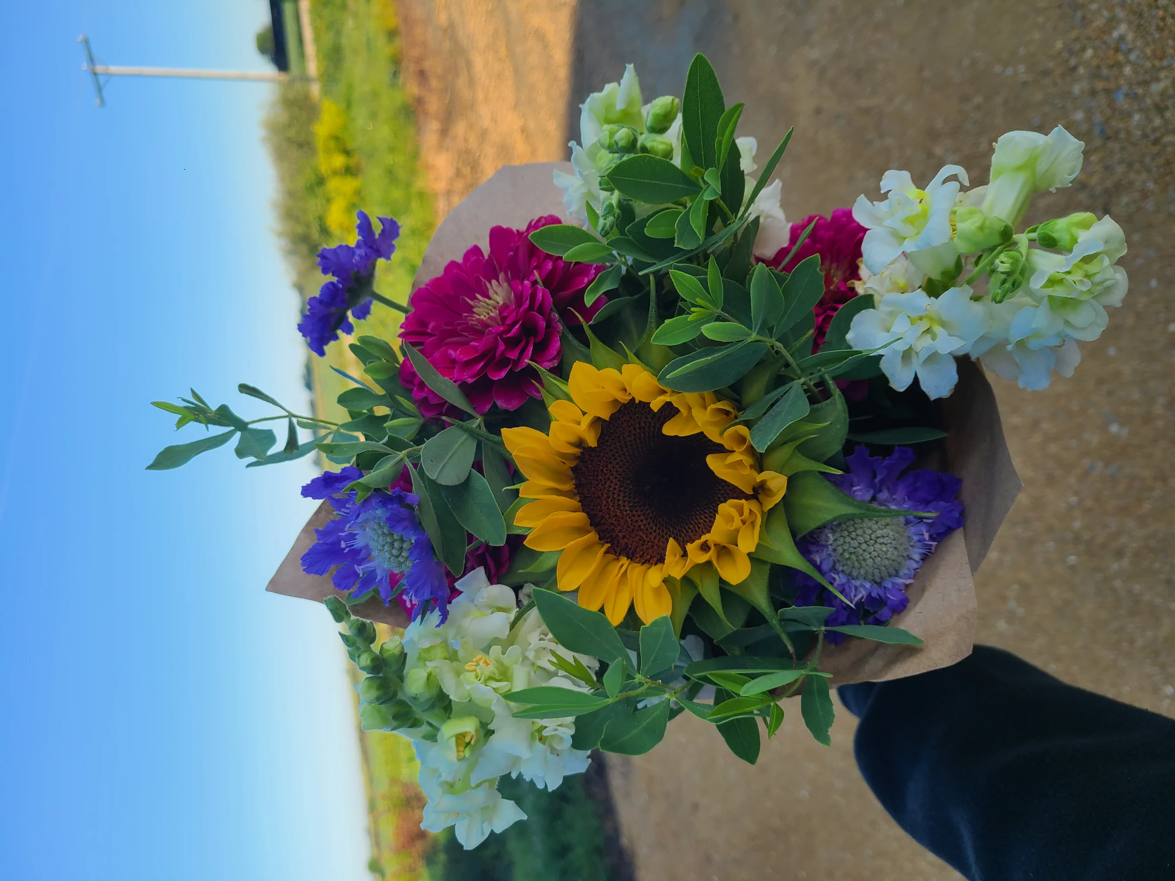 Voss Farms Cut Flowers  - Image 3