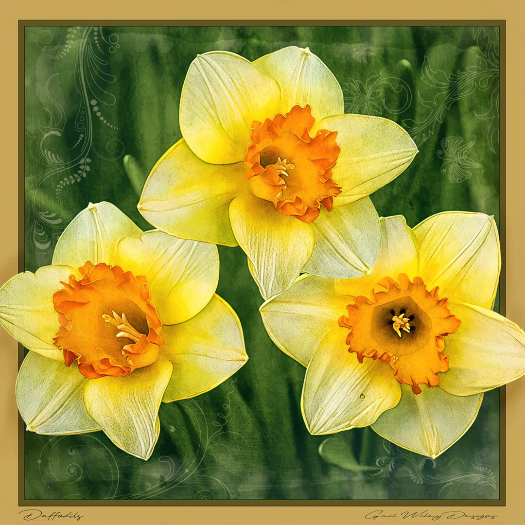 Gail Wiley Designs - Image 2