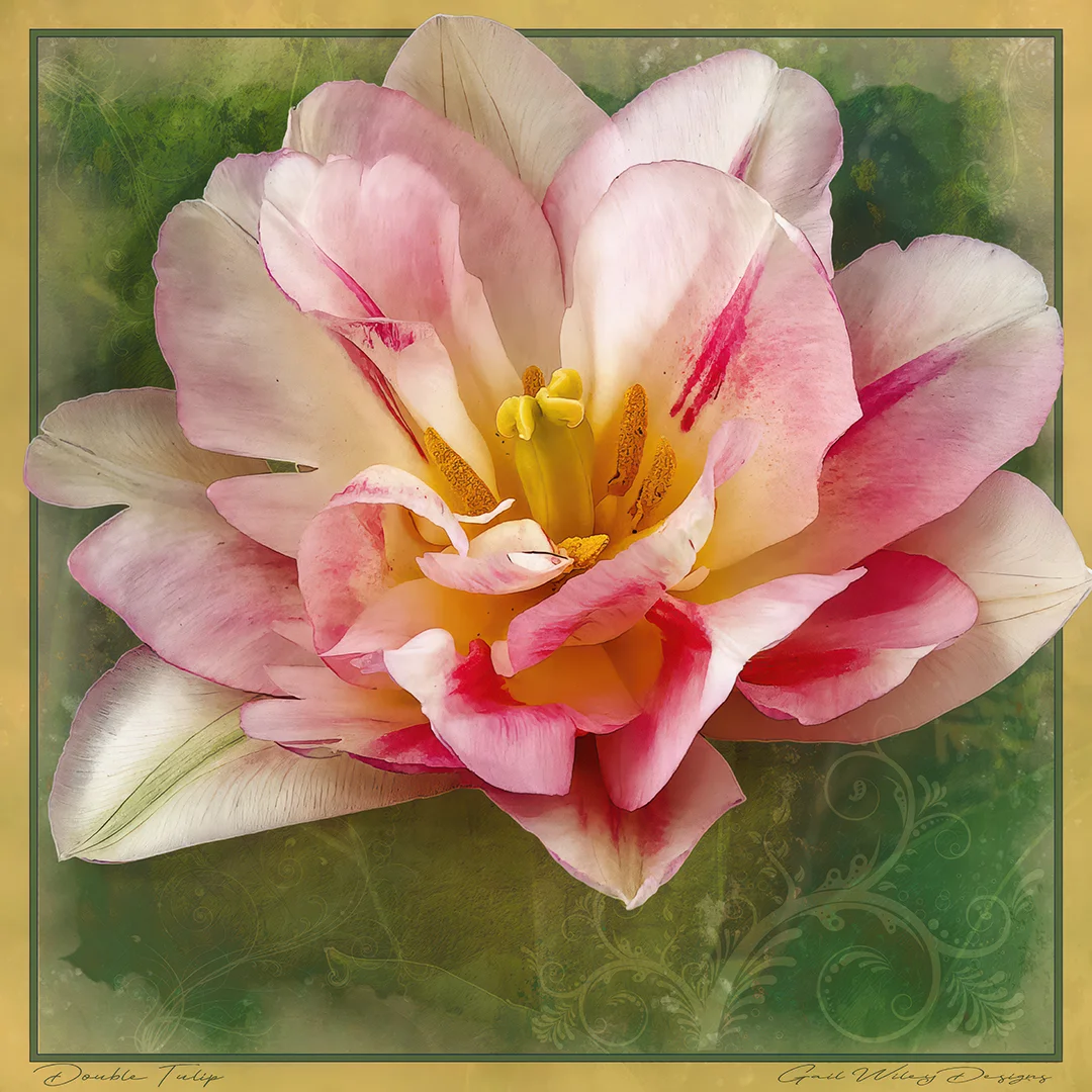 Gail Wiley Designs - Image 3