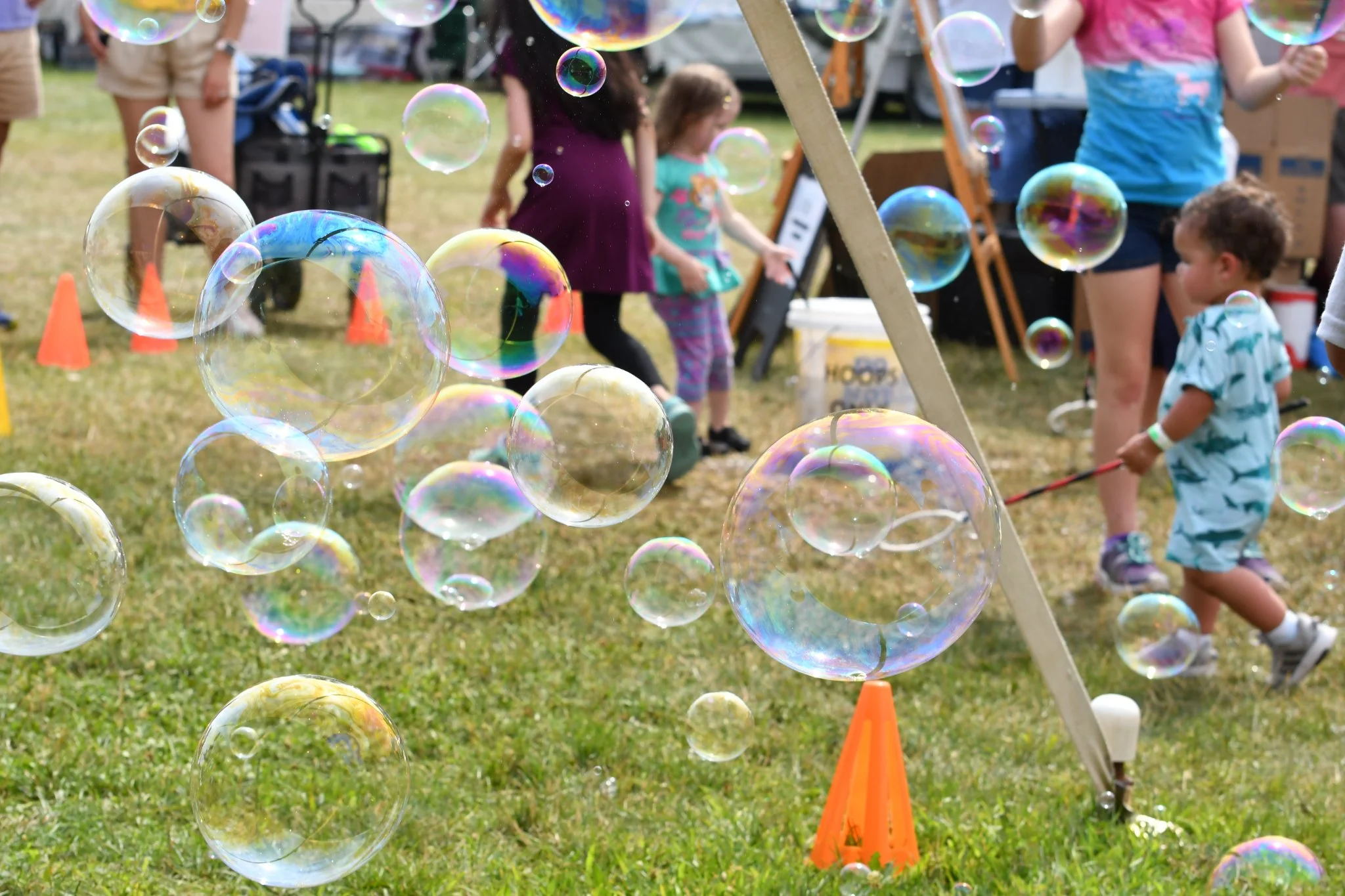 Bubble Lady Bubbles - Image 2