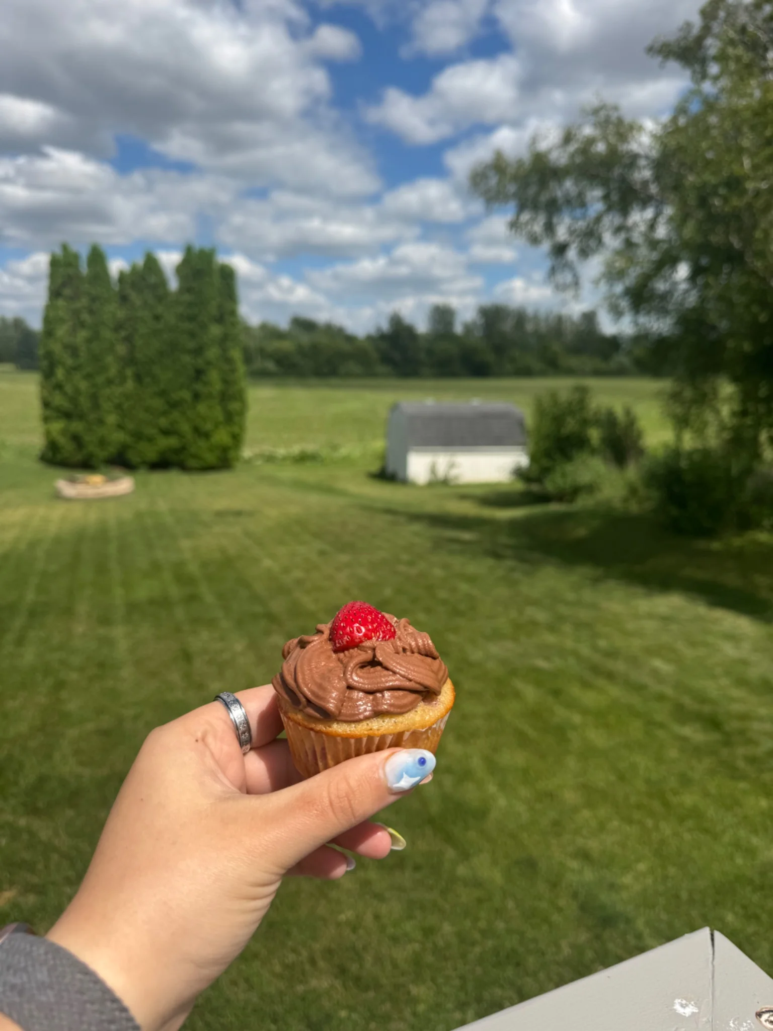 Rae of Sunshine Bakery - Image 5