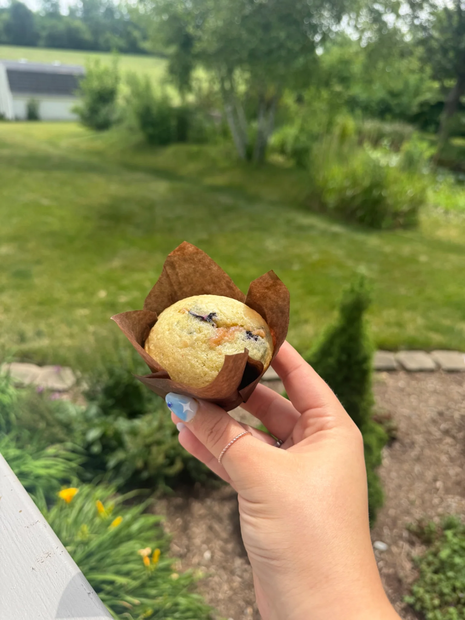 Rae of Sunshine Bakery - Image 2