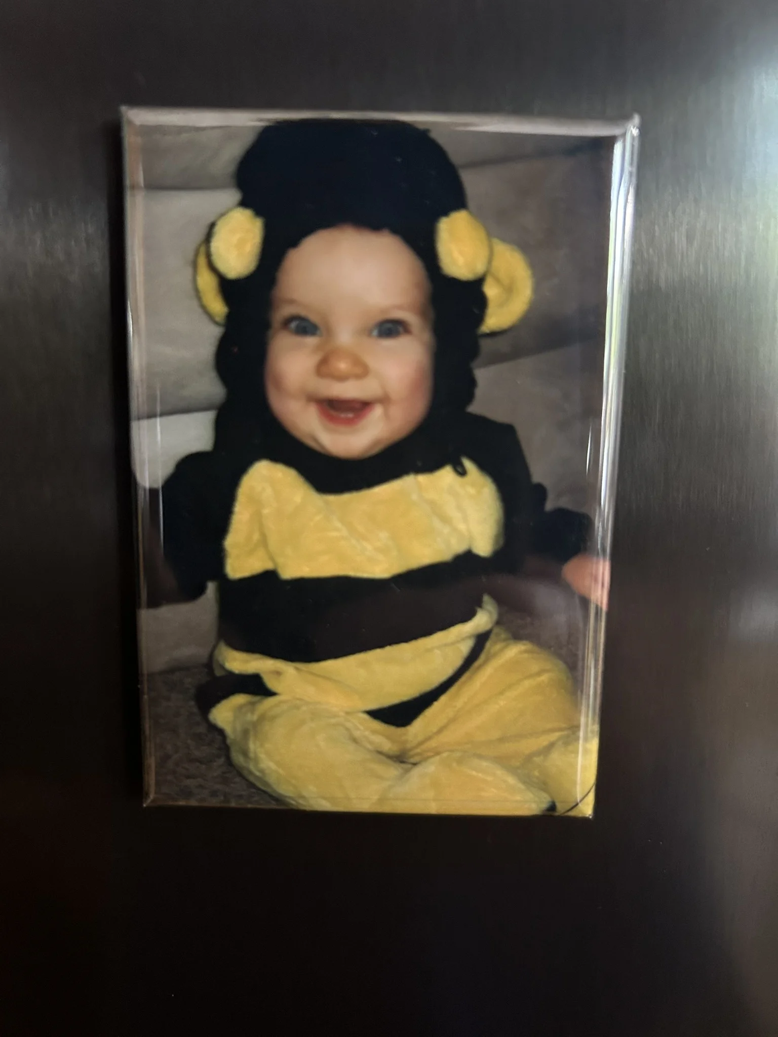 Molly's Magnets - Image 5