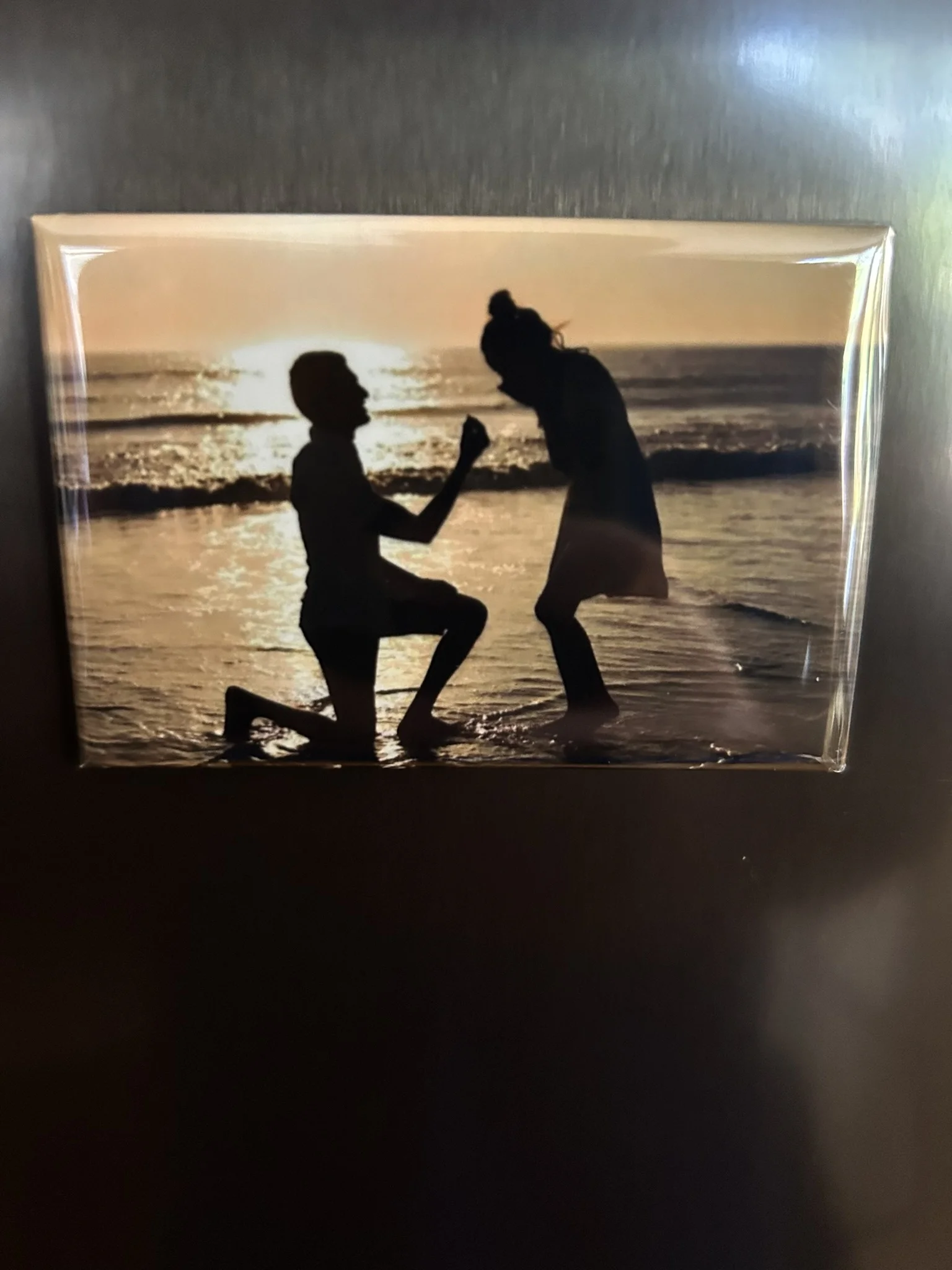 Molly's Magnets - Image 1