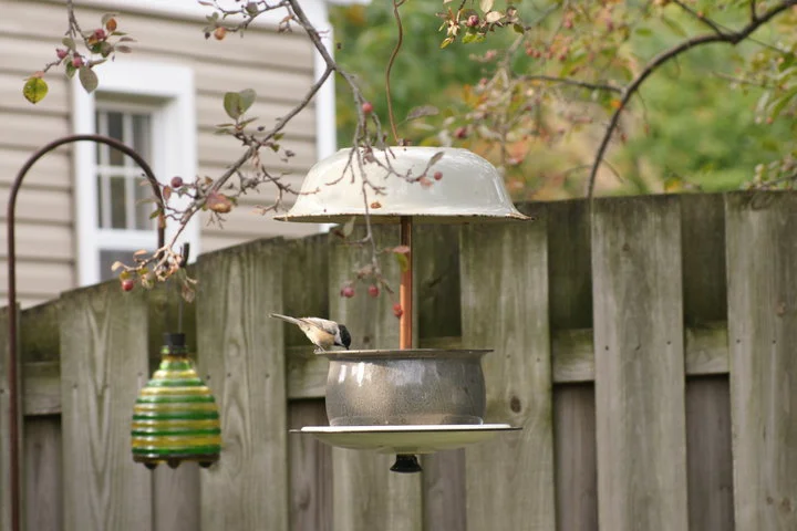 One Little Bird Creations - Image 6