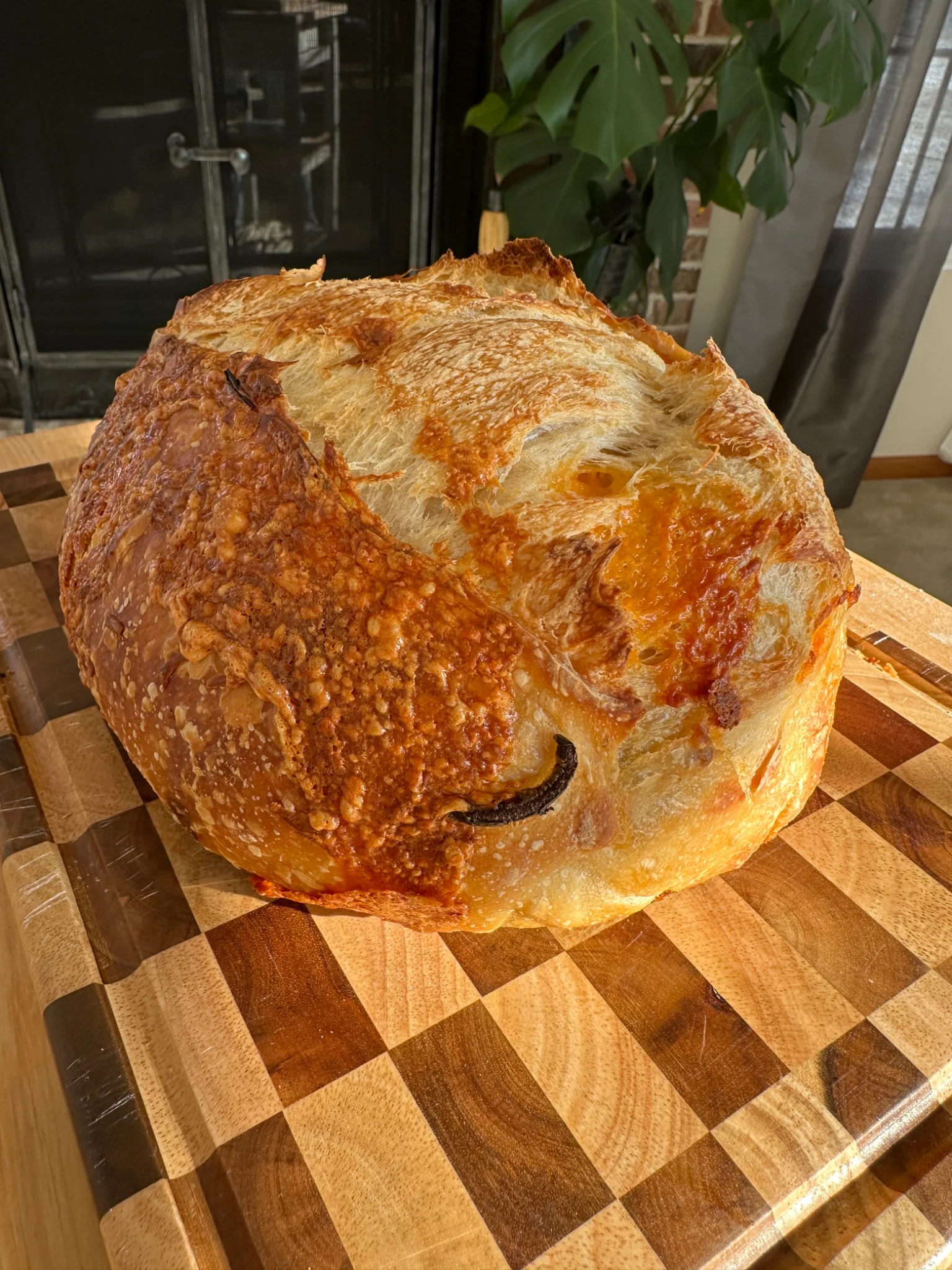 Blue Merle MicroBakery  - Image 5