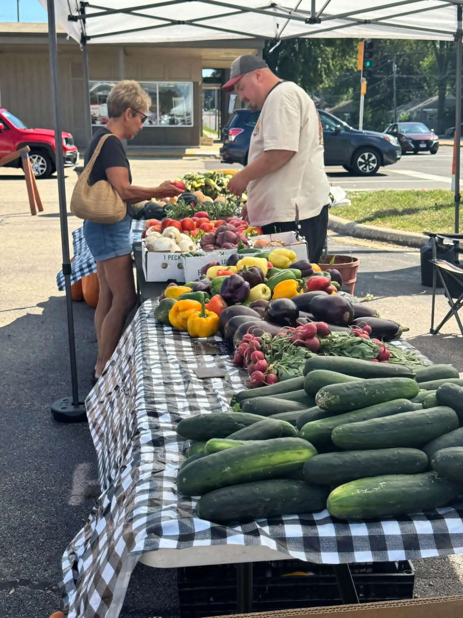 Meyers family farms - Image 6